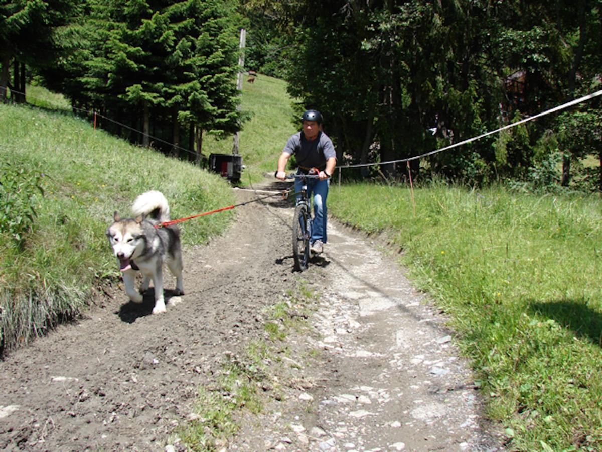 Les Chalets Autrichiens - Megève Zewnętrze zdjęcie